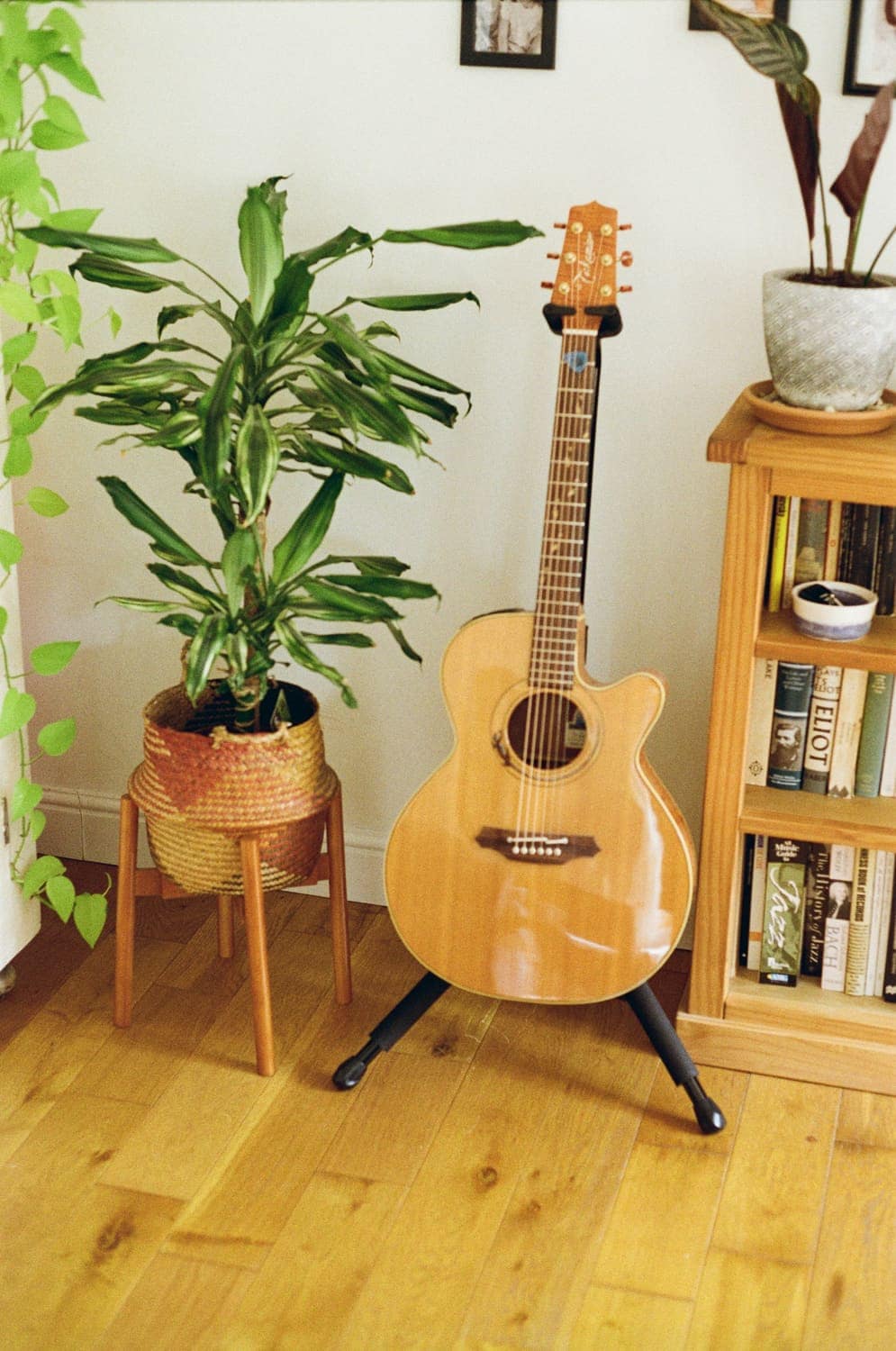 An acoustic guitar on a stand beside a plant and a bookcase