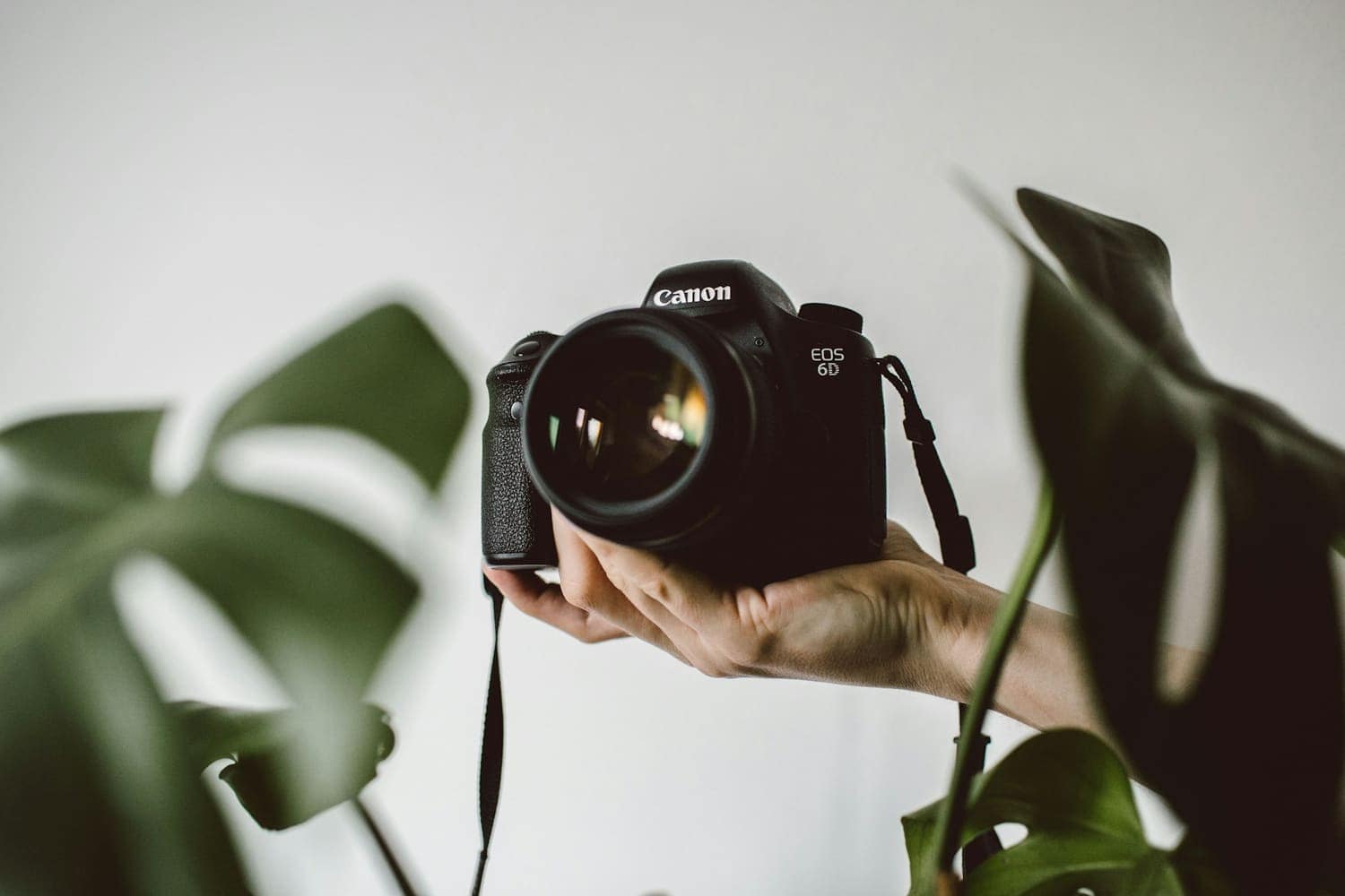 A hand holding a DSLR camera in front of green leaves